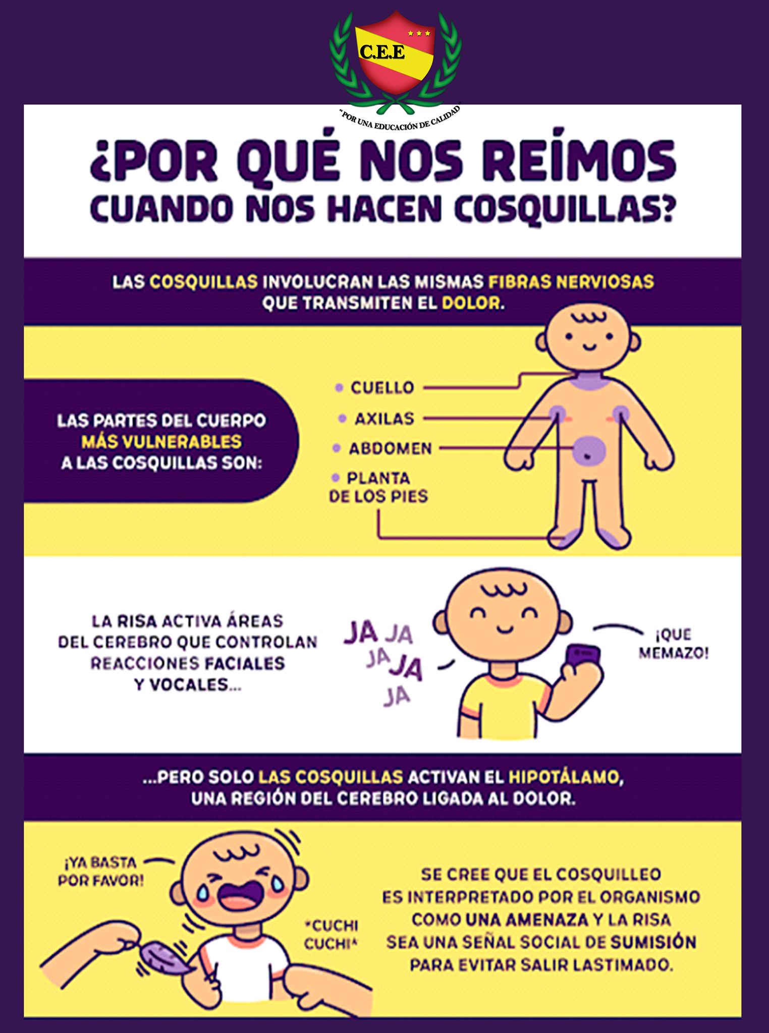 centro-escolar-ecatepec-35